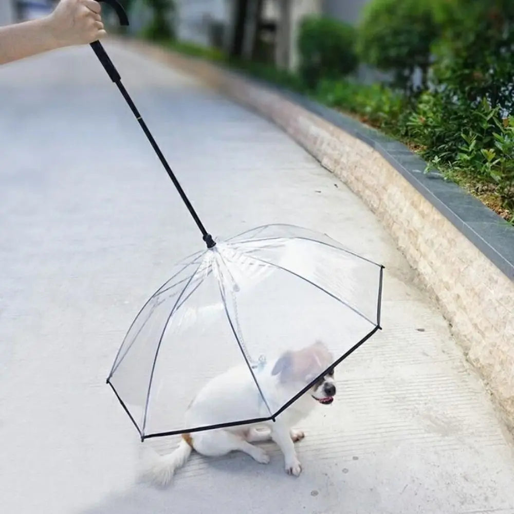 Detachable Clear Pet Dog Umbrellas C-Shape Handle with Leash Doggy Poncho Adjustable Rainproof Raincoat for Dogs Pet Supplies