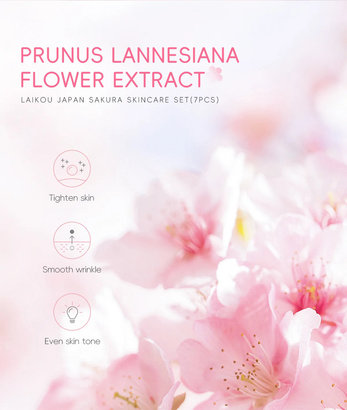 Korean Sakura Skincare Set Hydration Moisturize Cleanse Pores Sunscreen Protection Cosmetic Beauty