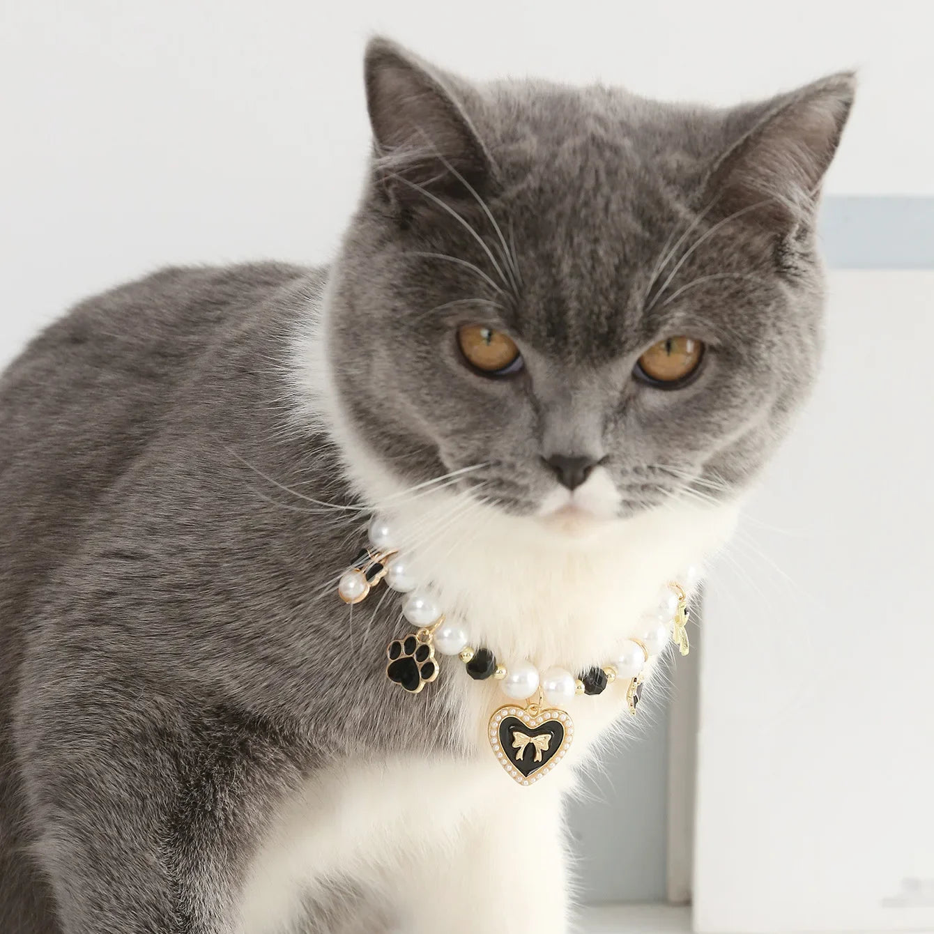 Imitation Pearl Cute Dog Necklace Pet Collar Accessories Jewelry Neck Chain For Small Dogs Large Dog Cats necklace