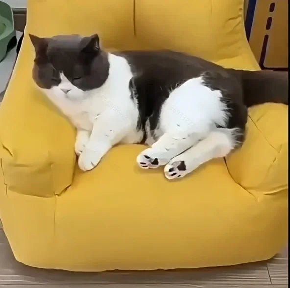 Cat Sofa Bed - Cartoon Design Detachable Washable Pet Furniture for Indoor Cats