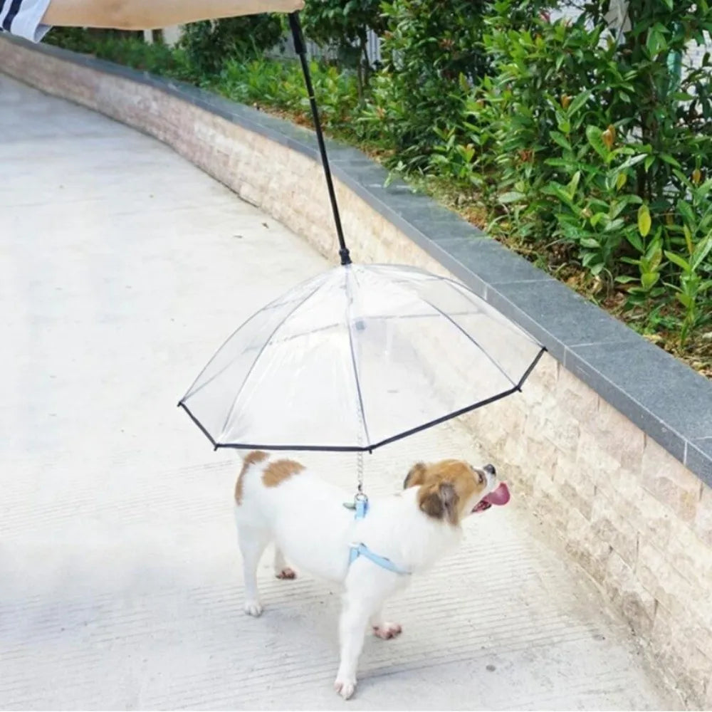 Detachable Clear Pet Dog Umbrellas C-Shape Handle with Leash Doggy Poncho Adjustable Rainproof Raincoat for Dogs Pet Supplies