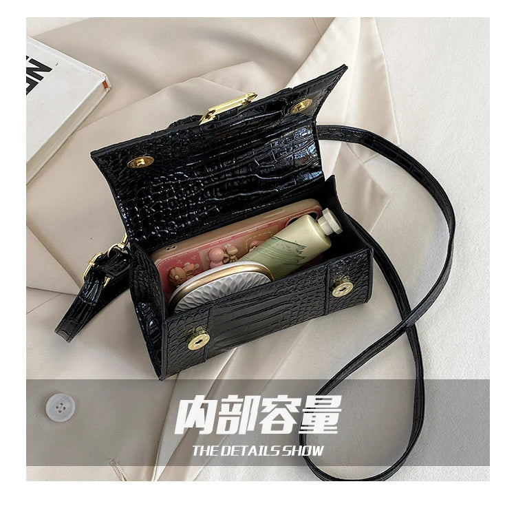 Fashionable Leather Handbag With Spacious Interior For Elegant Ladies By Famous Designer, Luxury Brand