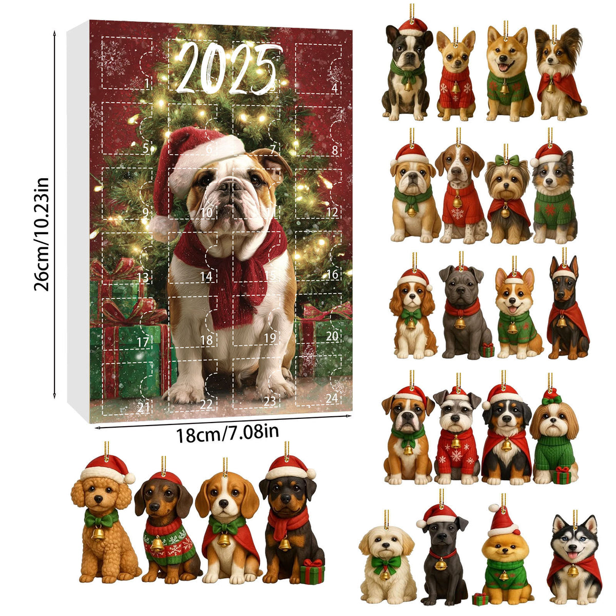 Advent calendar box showing dimensions with 24 acrylic dog ornaments in assorted breeds displayed alongside.