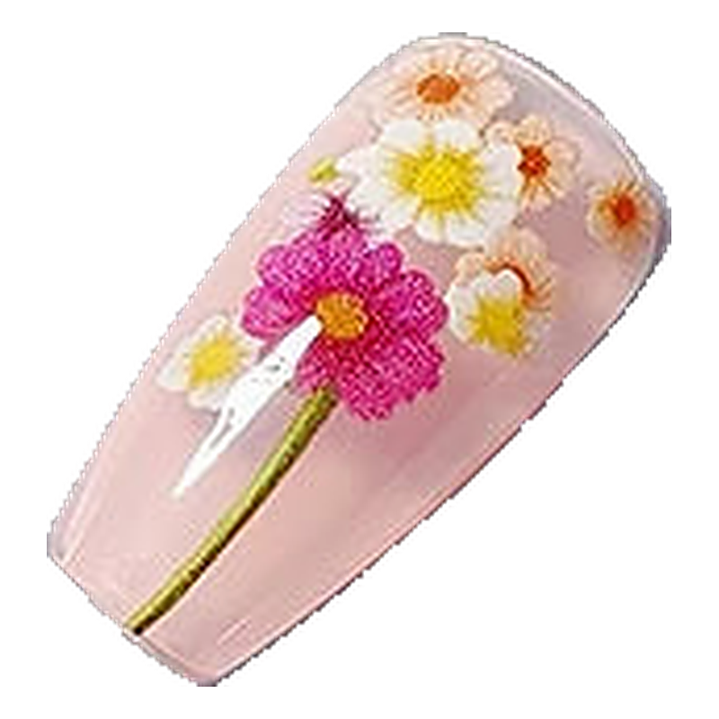 Press-on manicure set with translucent fake nails featuring dried flower art designs