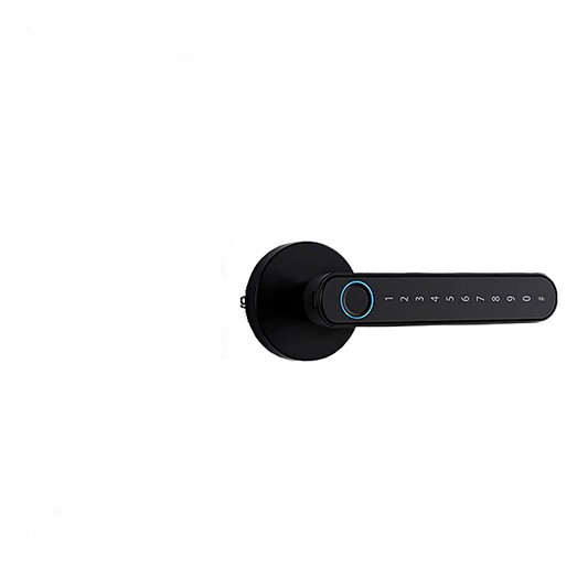 Biometric Fingerprint Smart Door Lock on door, hero shot.