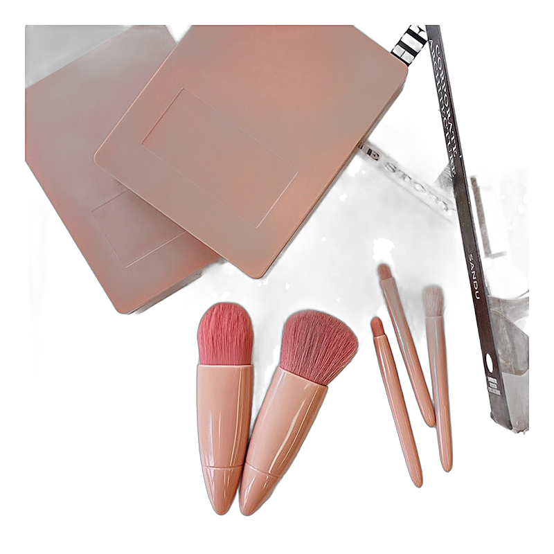 Women's professional synthetic makeup brush set in pink cases with books