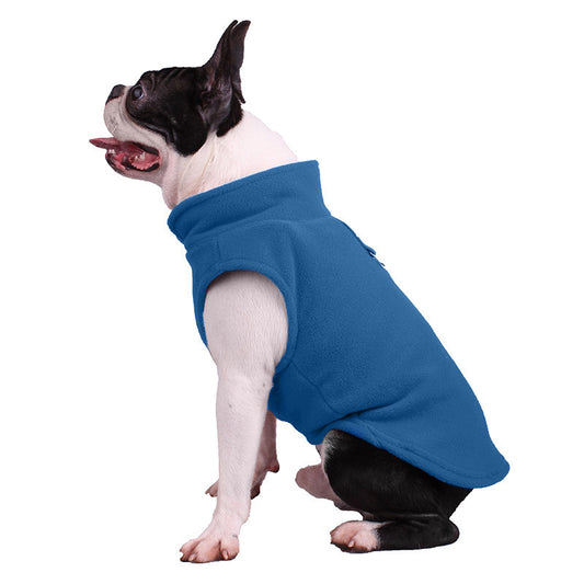Boston Terrier wearing a blue fleece dog vest, side view