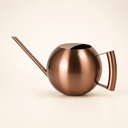 Stainless Steel Watering Can for Succulents and Indoor Plants