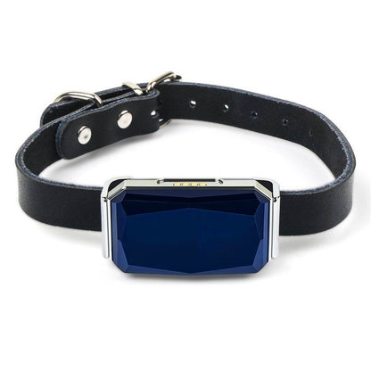 Precision GPS Tracker With Multi Mode Positioning For Pets