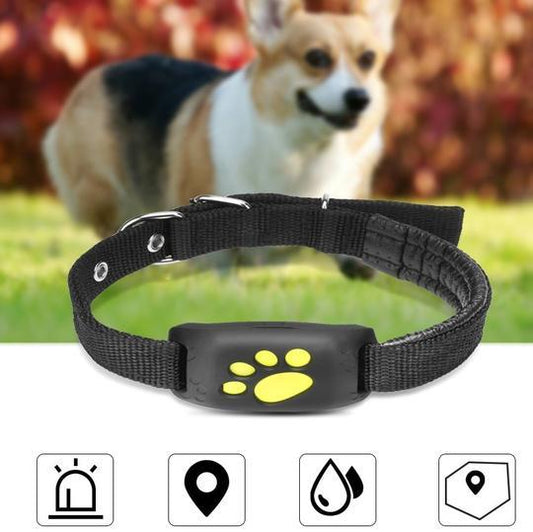Wireless GPS Pet Tracker Real Time Tracking for Pets