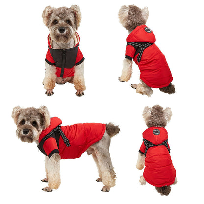 Four views of a dog wearing a red and black puffer coat with a hood and integrated harness.