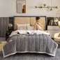Milk Velvet Beibei Velvet Blanket Thickened In Winter