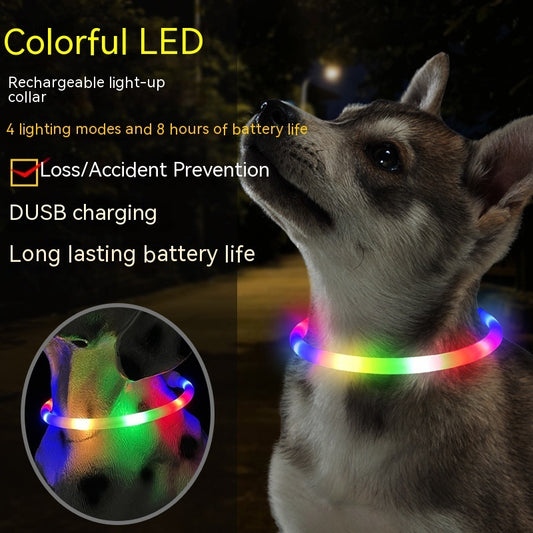 Led Dog Collar With Built In Led Lights For Nighttime Safety And High Visibility