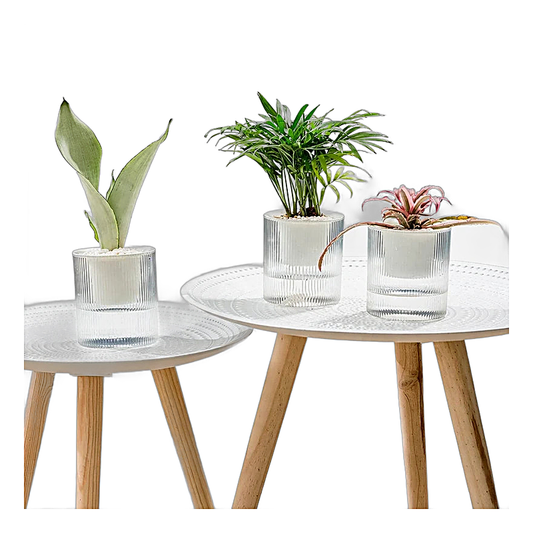 Self-Watering Succulent Planter with Vertical Ribs