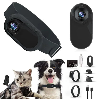 Pet collar camera with separate memory card options