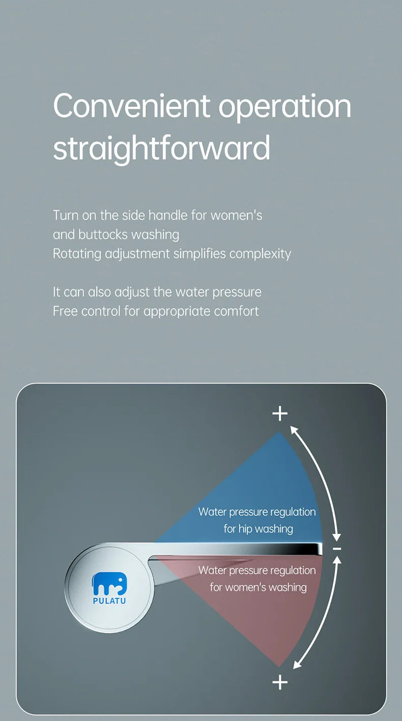 Bidet toilet attachment with sprayer