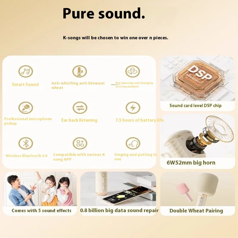 Portable Karaoke Microphone with Built-In Speaker Bluetooth 6W