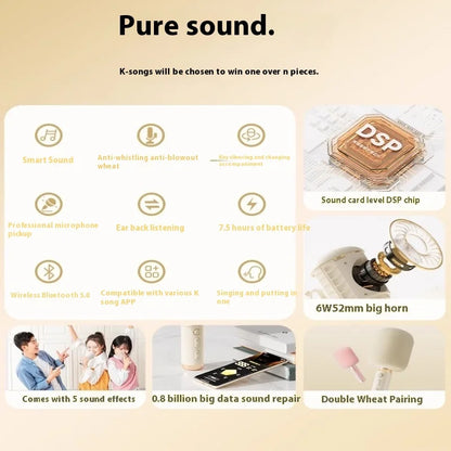 Portable Karaoke Microphone with Built-In Speaker Bluetooth 6W