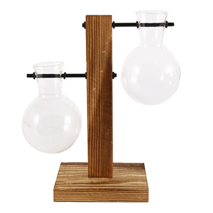 Glass Bulb Vase on Wooden Stand for Desk Decor and Office Display