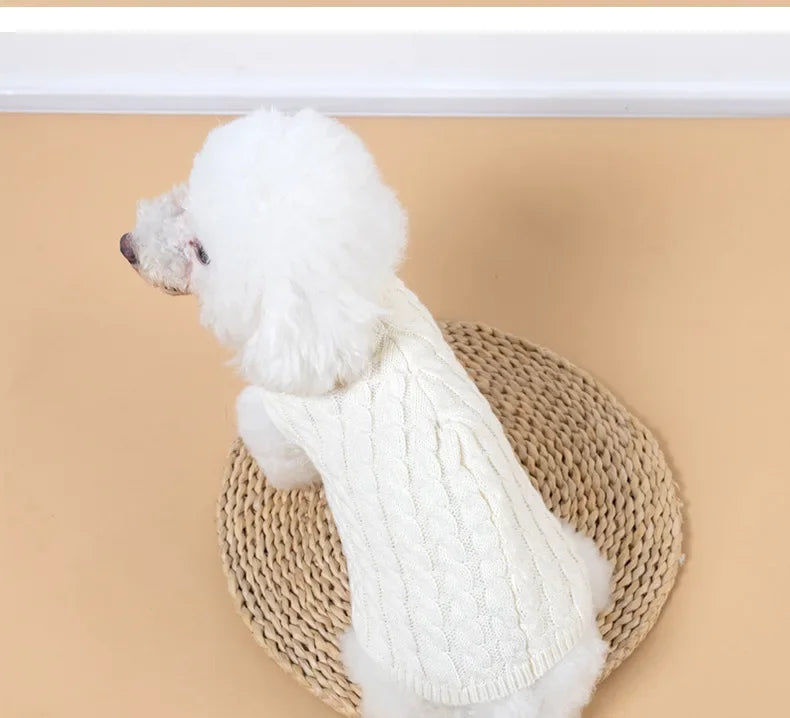 Knitted turtleneck dog sweater for everyday walks and lounging