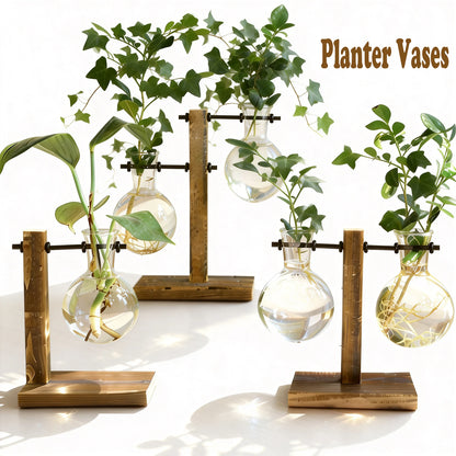 Glass Bulb Vase on Wooden Stand for Desk Decor and Office Display