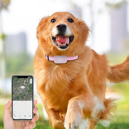 GPS Pet Collar Real Time Indoor and Outdoor Tracking for iOS
