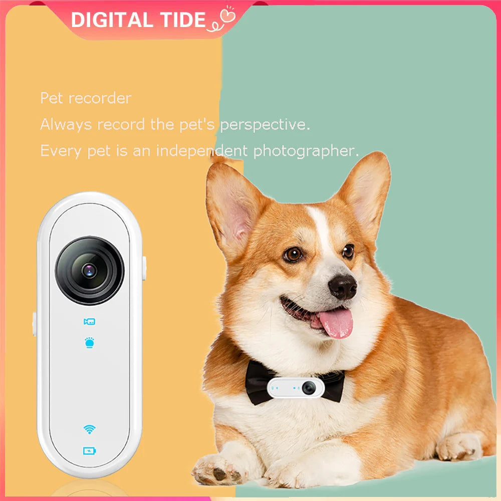 HD Cat Camera Collar with 32GB Card USB Rechargeable Adjustable