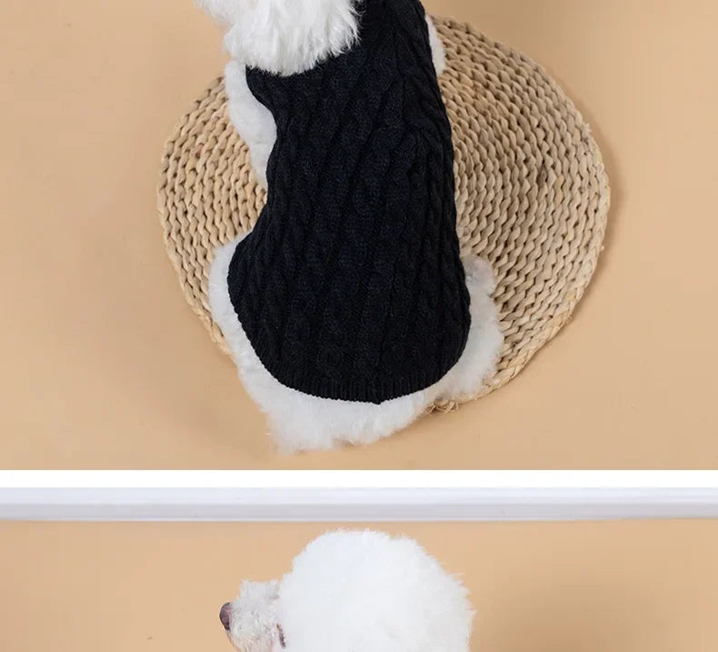 Knitted turtleneck dog sweater for everyday walks and lounging