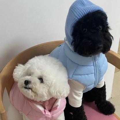 Dog Knitted Hat With Hooded Scarf Wool Cozy Winter Look