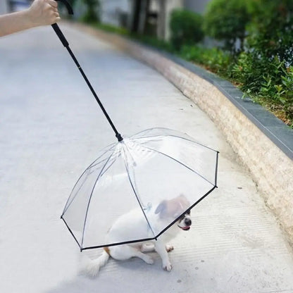 Detachable Clear Pet Dog Umbrellas C-Shape Handle with Leash Doggy Poncho Adjustable Rainproof Raincoat for Dogs Pet Supplies