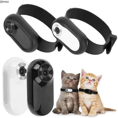 Wireless Pet Camera Collar 1080p Live Video for Cats and Dogs