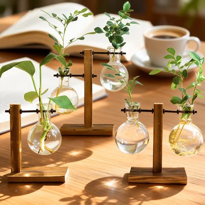 Glass Bulb Vase on Wooden Stand for Desk Decor and Office Display