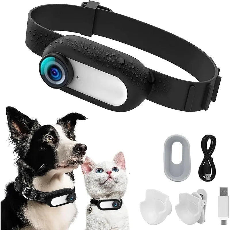 Pet collar camera with separate memory card options