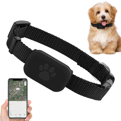GPS Pet Collar Real Time Indoor and Outdoor Tracking for iOS