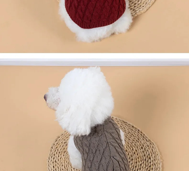Knitted turtleneck dog sweater for everyday walks and lounging