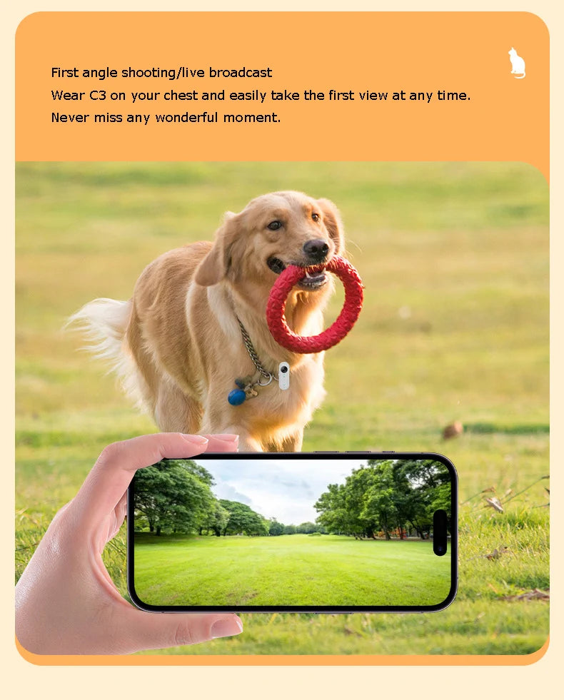 HD Cat Camera Collar with 32GB Card USB Rechargeable Adjustable
