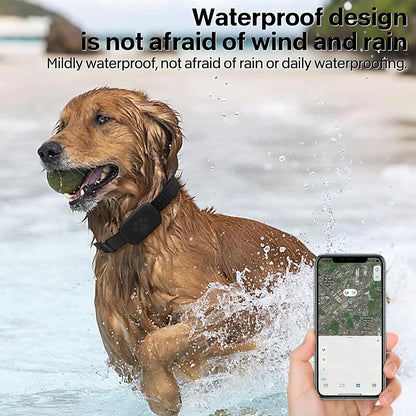 GPS Pet Collar Real Time Indoor and Outdoor Tracking for iOS