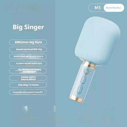 Portable Karaoke Microphone with Built-In Speaker Bluetooth 6W