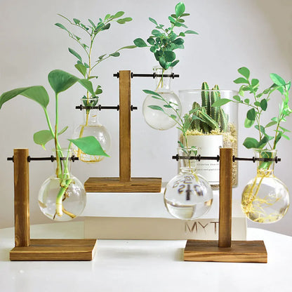 Glass Bulb Vase on Wooden Stand for Desk Decor and Office Display