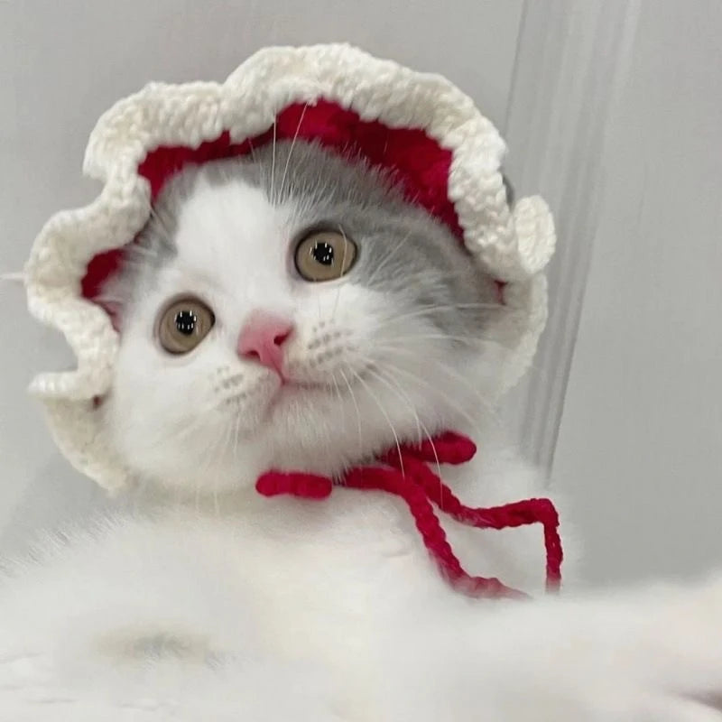 Soft Hat Hand-Crocheted with Elastic Fit for Cats Photo Prop
