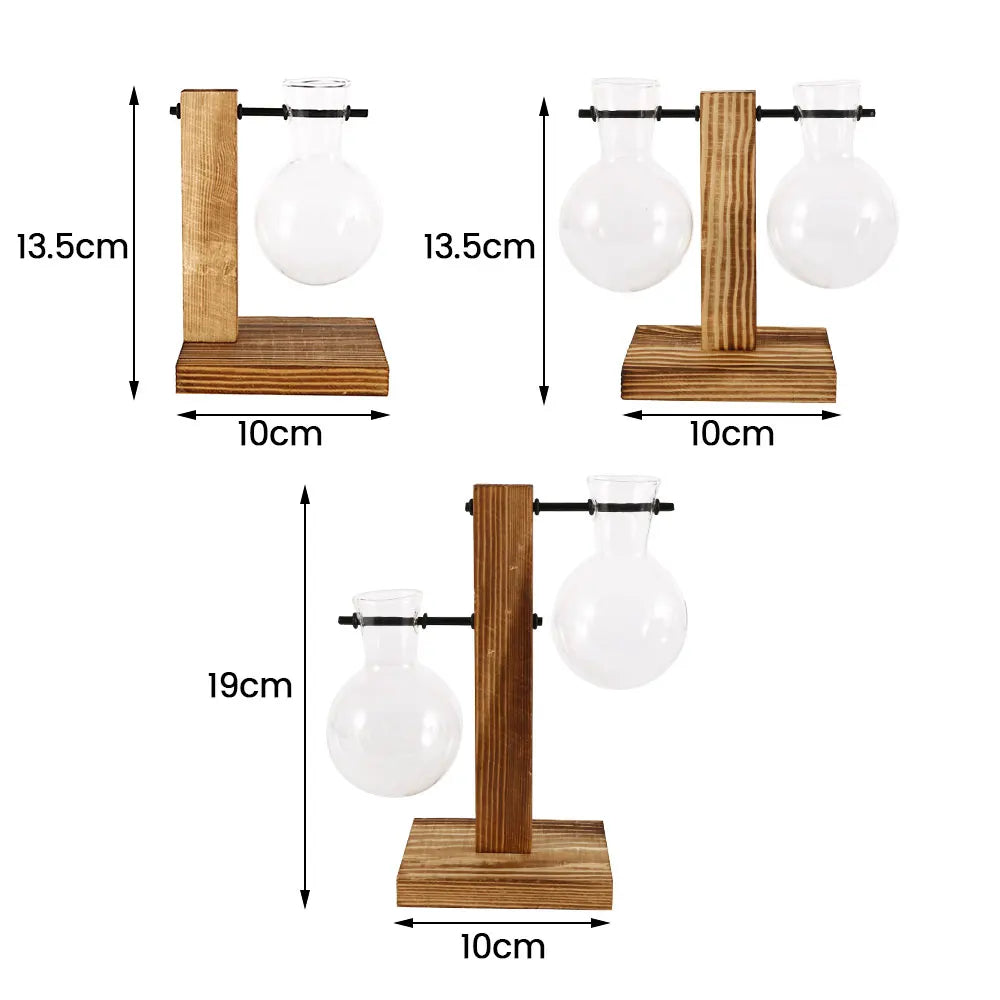 Glass Bulb Vase on Wooden Stand for Desk Decor and Office Display