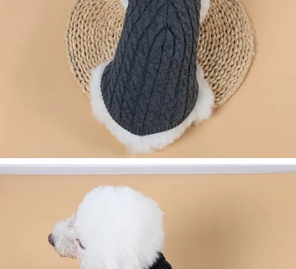 Knitted turtleneck dog sweater for everyday walks and lounging