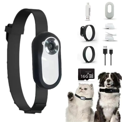 Pet collar camera with separate memory card options