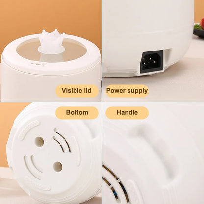 Four-panel view of a white electric mini cooker, showing glass lid, power port, bottom vents, and integrated handle.
