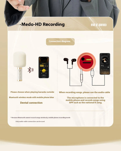 Portable Karaoke Microphone with Built-In Speaker Bluetooth 6W