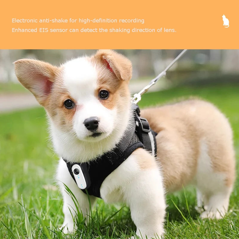 HD Cat Camera Collar with 32GB Card USB Rechargeable Adjustable