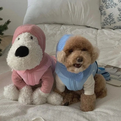Dog Knitted Hat With Hooded Scarf Wool Cozy Winter Look