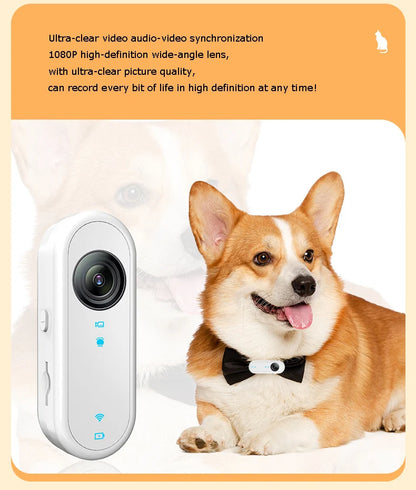 HD Cat Camera Collar with 32GB Card USB Rechargeable Adjustable