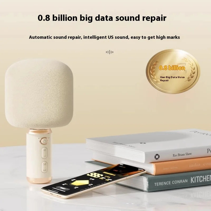 Portable Karaoke Microphone with Built-In Speaker Bluetooth 6W
