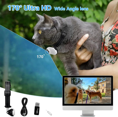 Pet collar camera with separate memory card options